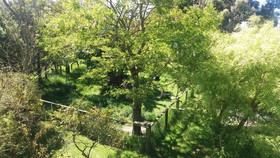 Driftwood Retreat And Eco Tours