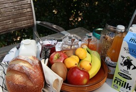 Driftwood Retreat And Eco Tours
