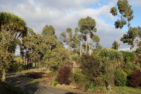 Driftwood Retreat And Eco Tours