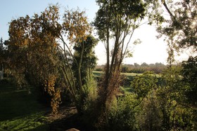 Driftwood Retreat And Eco Tours