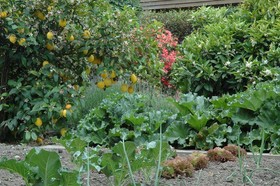 Stonehaven Homestay