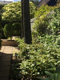 40 Thornycroft Street Bed & Breakfast