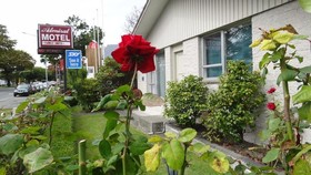 Admiral Motel
