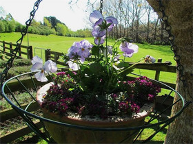 Christchurch City and Country Cottages