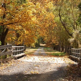 Kaituna Valley Homestead