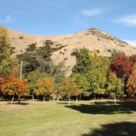 Kaituna Valley Homestead