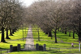 Parkview On Hagley