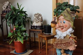 Shamrock Garden B&B Airport