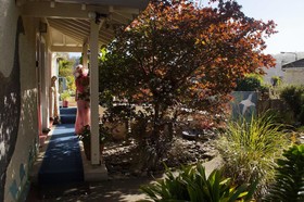 Arden Street House