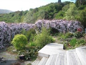 Leithview