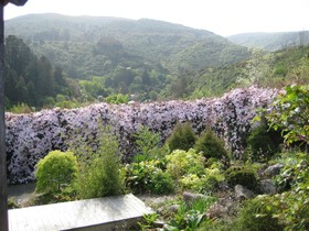Leithview