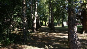 The Birches Bed & Breakfast