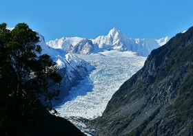 Bella Vista Motel Fox Glacier