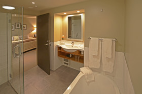 Distinction Fox Glacier Te Weheka Hotel