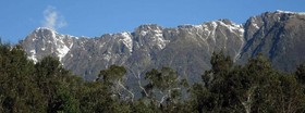 Fox Glacier Lodge
