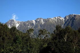 Fox Glacier Lodge