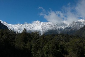 Fox Glacier Lodge