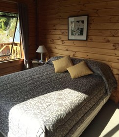 Fox Glacier Lodge