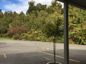 Franz Josef Oasis