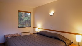 Punga Grove Motel & Suites