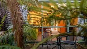 Punga Grove Motel & Suites