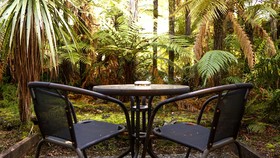 Punga Grove Motel & Suites