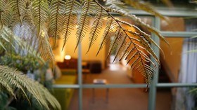 Punga Grove Motel & Suites