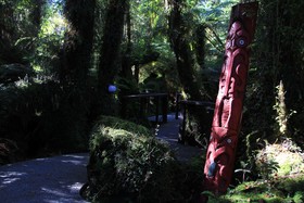 Rainforest Retreat