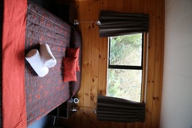 Rainforest Retreat