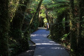 Rainforest Retreat