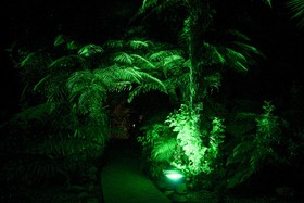 Rainforest Retreat