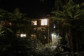 Rainforest Retreat