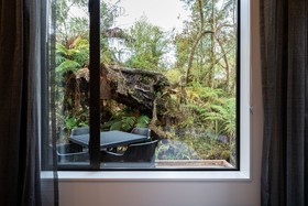 Rainforest Retreat