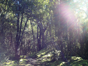 Infinity Eden Lodge