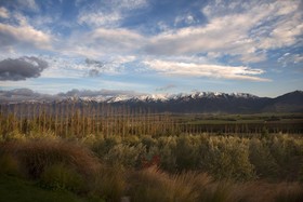 Amuri Estate Retreat
