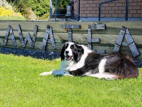 Awatea Country B&B