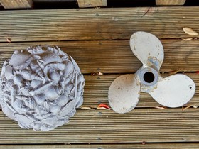 Barnacle Bills
