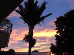 Nikau Lodge