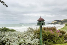 The Lookout