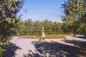 Olive & Vine Estate