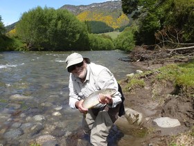 Murchison Lodge