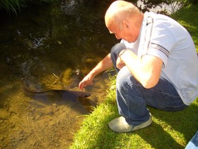 Ambleside Luxury Bed & Breakfast