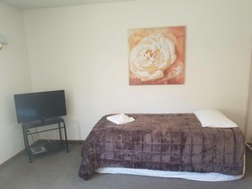 Apex Motor Lodge