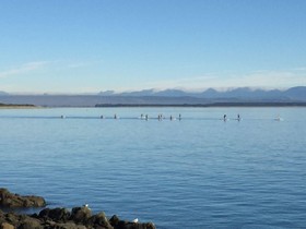 Beaches Nelson