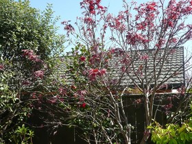 Kershaw House