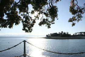 The Beach House Nelson B&B