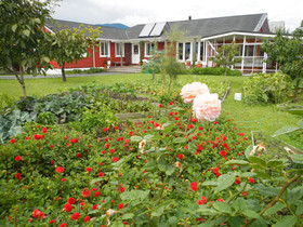 The Beach House Nelson B&B