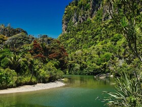 Punakaiki Beach Camp