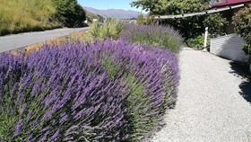 Aquarius De Lavender Lake View B&B