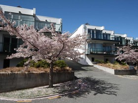 Blue Peaks Apartments
